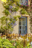 SILVER STREET FARM, DEVON: HOUSE FRONT WITH CLIMBERS, ROSA CHINENSIS MUTABILIS, WISTERIA, CLIMBING, MAY, FRONT GARDEN, COUNTRY