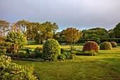 SILVER STREET FARM, DEVON: MAY, BORDERS,SPRING, COUNTRY GARDEN, LAWN, CLIPPED BEECH DOMES