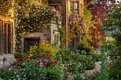 ASTHALL MANOR, OXFORDSHIRE: THE FRONT OF THE MANOR WITH ROSES, ROSA CECILE BRUNNER, ATRANTIAS, OX EYE DAISIES, FOXGLOVES, PATHS, SUNRISE, PAEONIA KARL ROSENFIELD, VERBASCUMS