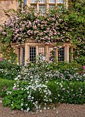 ASTHALL MANOR, OXFORDSHIRE: FRONT OF MANOR, PINK, ROSES, ROSA CECILE BRUNNER, OX EYE DAISIES, ASTRANTIAS, WALLS, DAWN, SUNRISE