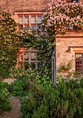 ASTHALL MANOR, OXFORDSHIRE: FRONT OF MANOR, PINK, ROSES, ROSA CECILE BRUNNER, WALLS, DAWN, SUNRISE