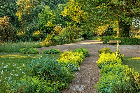 ASTHALL_MANOR_OXFORDSHIRE_PATHS_LAWN_ALCHEMILLA_MOLLIS_DRIVEWAY_WOODEN_BENCH_TREE