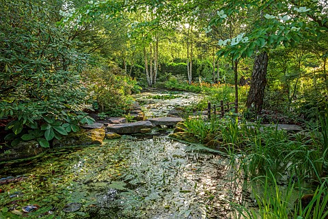 MORTON_HALL_GARDENS_WORCESTERSHIRE_STROLL_GARDEN_POOL_WATER_POND_STEPPING_STONES_WATER_HAWTHORN_APON