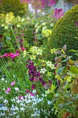 MORTON HALL GARDENS, WORCESTERSHIRE: BORDER, PATH, PENSTEMON PLUM JERKIN, NICOTIANA LIME GREEN, BOX DOMES, CLEOME SPINOSA VIOLET QUEEN