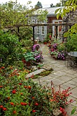 PATTHANA GARDEN, IRELAND: VIEW ONTO COURTYARD, PATIO, POOL, POND, TERRACOTTA CONTAINERS, HOSTAS, TAGETES, POTTING SHED