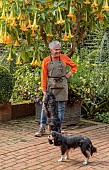 EAST RUSTON OLD VICARAGE GARDEN, NORFOLK: ALAN GRAY STANDS IN THE DUTCH GARDEN BENEATH A LARGE YELLOW BRUGMANSIA IN A CONTAINER, DOGS GIGI AND MARGOT