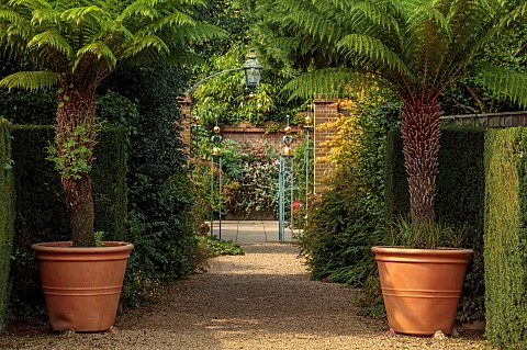 EAST_RUSTON_OLD_VICARAGE_GARDEN_NORFOLK_GRAVEL_DRIVE_TREE_FERNS_IN_CONTAINERS_ORNATE_GATE_DICKSONIA_