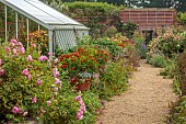 EAST RUSTON OLD VICARAGE GARDEN, NORFOLK: DIAMOND JUBILEE WALLED GARDEN, GRAVEL PATH, AUGUST, GREENHOUSE, GLASSHOUSE, ROSES, CONTAINERS