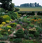 TOPIARY AND FORMAL SHAPES OF BUXUS SEMPERVIRENS AMONGST THE ABUNDANCE OF FLOWERS AT HERTERTON HOUSE NORTHUMBERLAND