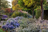 OLD COURT NURSERIES AND PICTON GARDEN, WORCESTERSHIRE: OCTOBER, MICHAELMAS DAISIES, ASTERS, SYMPHYOTRICHUM BLUE STAR, SYMPHYOTRICHUM ROSY VEIL, EVENING LIGHT, WOODEN BENCH, SEAT