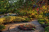 OLD COURT NURSERIES AND PICTON GARDEN, WORCESTERSHIRE: PAVING CIRCLE, HEDGES, HEDGING, CLIPPED, TOPIARY, LIGUSTRUM OVALIFOLIUM ARGENTATUM, WOODLAND, SHADY, SHADED