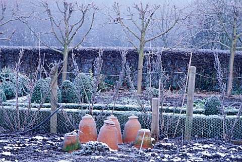 WINTER_IN_THE_VEGETABLE_GARDEN_WITH_TERRACOTTA_FORCING_POTS_AT_CHENIES_MANOR_GARDEN__BUCKINGHAMSHIRE