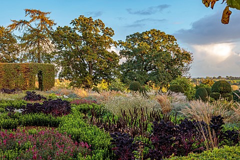 BROUGHTON_GRANGE_GARDENS_OXFORDSHIRE_FALL_AUTUMN_OCTOBER_PARTERRE_KALE_SCARLET_CLIPPED_BEECH_HEDGE_H