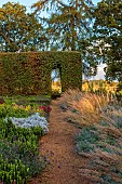 BROUGHTON GRANGE GARDENS, OXFORDSHIRE: FALL, AUTUMN, OCTOBER, PARTERRE, GRASSES, PATH, STIPA CALAMAGROSTIS, TREES, CLIPPED BEECH HEDGE, HEDGING, BORROWED LANDSCAPE