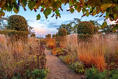 BROUGHTON_GRANGE_GARDENS_OXFORDSHIRE_AUTUMN_FALL_OCTOBER_THE_WALLED_GARDEN_GRASSES_CLIPPED_TOPIARY_B