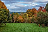 HERGEST CROFT GARDENS, HEREFORDSHIRE: FALL, AUTUMN, NOVEMBER, AUTUMN COLOURS IN WOODLAND, VIEW FROM TOP OF GARDEN EAST TOWARDS THE MALVERN HILLS, LAWN, BORROWED LANDSCAPE