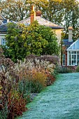 THE OLD VICARAGE, WORMINGFORD, ESSEX: DESIGNER JEREMY ALLEN: LAWN, NOVEMBER, FALL, AUTUMN, LONG BORDER BESIDE THE HOUSE, FROST, GRASSES, PERENNIALS