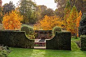 THE OLD VICARAGE, WORMINGFORD, ESSEX: DESIGNER JEREMY ALLEN: NOVEMBER, FALL, AUTUMN, YEW HEDGES, HEDGING, LAWN, RILL, PYRUS SALICIFOLIA