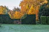 THE OLD VICARAGE, WORMINGFORD, ESSEX: DESIGNER JEREMY ALLEN: NOVEMBER, FALL, AUTUMN, YEW HEDGES, HEDGING, LAWN, RILL, PYRUS SALICIFOLIA