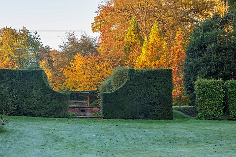 THE_OLD_VICARAGE_WORMINGFORD_ESSEX_DESIGNER_JEREMY_ALLEN_NOVEMBER_FALL_AUTUMN_YEW_HEDGES_HEDGING_LAW