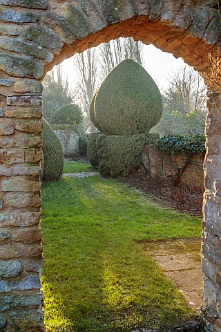BECKLEY_PARK_OXFORDSHIRE_FROST_FROSTY_WINTER_HOUSE_CLIPPED_TOPIARY_HEDGES_HEDGING_YEW_WALL