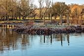 BECKLEY PARK, OXFORDSHIRE: FROST, FROSTY, WINTER, LAKE, WATER, STEPPING STONES MADE FROM ROBERT ADAM PLINTHS, ISLAND, TEMPLE, EIGHT STONE COLUMNS