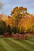 HORKESLEY HALL, ESSEX: LAWN, FEBRUARY, WINTER, SEATS, TABLE, CLIPPED TOPIARY
