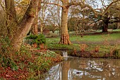 HORKESLEY HALL, ESSEX: FEBRUARY, WINTER, THE UPPER LAKE, WATERFALL, TREES, LAWN
