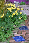 NARCISSUS PIPPIT BESIDE PAVING OF BRICK AND BLUE CERAMIC TILES. DESIGNER: KEEYLA MEADOWS  SAN FRANCISCO  USA