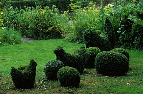 BOX_TOPIARY_CHICKENS_AND_EGGS__FERNS_AND_PARSNIP_FLOWERS_PRIONA_GARDEN__HOLLANDDESIGNER_HENK_GERRITS