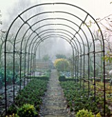 FROSTY MORNING: ARCHWAY OVER PATH IN THE POTAGER AT BARNSLEY HOUSE  GLOS.