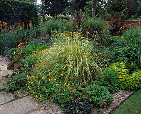CORTADERIA_GOLD_BAND_POTENTILLA_WILLIAM_ROBINSON_AND_YELLOW_QUEEN__MARIGOLDS__WOLLERTON_OLD_HALL__SH
