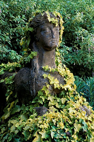 STONE_SPHINX_CLOTHED_IN_HEDERA_HELIX_BUTTERCUP_WITH_FUCHSIA_SHARPITOR_IN_BG_HELEN_DILLONS_GARDEN