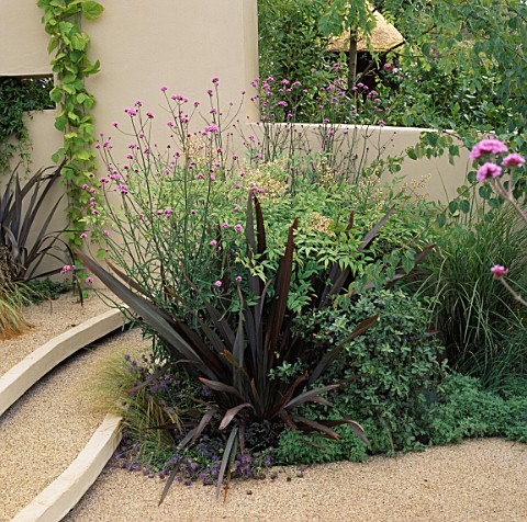 GRAVEL_WITH_PHORMIUM__GRASSES__VERBENA_BONARIENSIS_WITH_CREAM_RENDERED_WALL_AND_STEPS_IN_A_MODERN_GA
