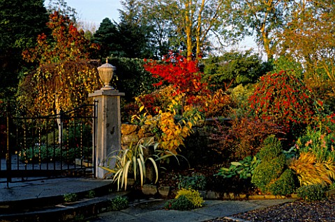 ACERS_IN_AUTUMNAL_SHADES_AND__GATE_WITH_LEAD_URNS_ACER_AND__LAKEMOUNT__GLANMIRE__EIRE