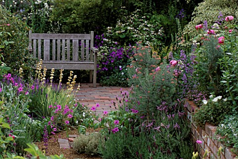 RAISED_BEDS_WITH_PURPLETHEMED_COTTAGE_STYLE_PLANTING_SURROUND_SEAT_ON_BRICK_TERRACE_IN_THE_SPOUT_GAR