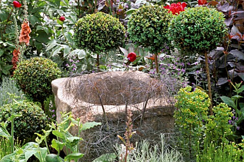 STONE_URN_SURROUNDED_BY_LOLLIPOP_BOX_BALLS_IN_THE_BRITISH_SKY_BROADCASTING_GARDEN_DESIGNED_BY_FIONA_