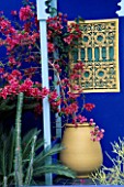 BOUGAINVILLEA IN URN AGAINST DEEP BLUE WALLS OF THE MOROCCAN STYLE YVES ST. LAURENT GARDEN DESIGNED BY MADISON COX. CHELSEA 97