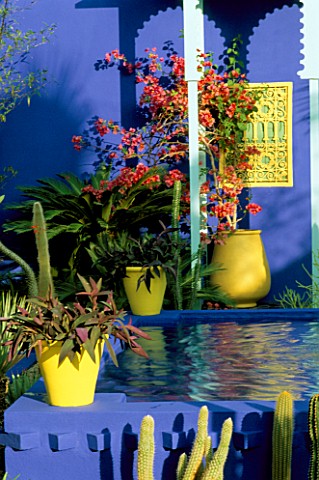 COBALT_BLUE_FOUNTAIN__CACTI__AND_YELLOW_TERRACOTTA_POT_IN_THE_MOROCCAN_STYLE_YVES_ST_LAURENT_GARDEN_