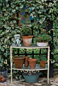 TERRACOTTA POTS ON METAL & GLASS ETAGERE IN FRONT OF IVY CLAD STAINED GLASS WINDOW. DESIGNER: JONATHAN BAILLIE