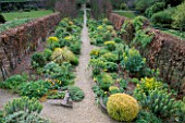 PATH RUNS BETWEEN THE PARALLEL LINES OF THE YELLOW BORDER (EARLY SUMMER). HADSPEN GARDEN  SOMERSET