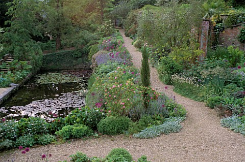 CUPRESSUS_SEMPERVIRENS_ON_THE_CORNER_OF__THE_PEACH_WALK_WITH__ALLIUMS_AND_AQUILEGIA_ALONG_THE_GRAVEL
