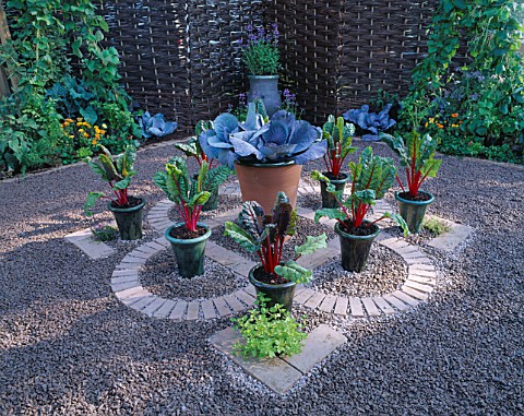 POTS_OF_SAVOY_CABBAGE_AND_RUBY_CHARD_IN_FORMAL_ARRANGEMENT_ON_GRAVEL_AND_BRICK_PARTERRE_IN_POTAGER_S