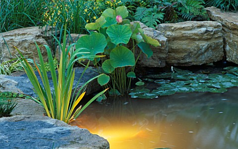 UNDERWATER_LIGHTING_IN_LILY_POOL_BY_GARDEN_AND_SECURITY_LIGHTING__HAMPTON_COURT__97