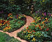 WOODEN PATH LEADS THROUGH MIXED BEDS OF HERBS  NASTURTIUMS  CALENDULAS  LETTUCES AND BEANS IN THE EDIBLE GARDEN AT CHELSEA 1994. DESIGNER: JULIE TOLL.