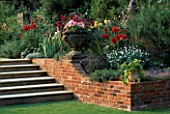 TERRACE BEDS WITH DAHLIAS AT EASTON LODGE GARDENS ESSEX
