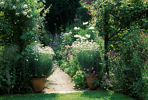 SHADY_ENTRANCE_TO_THE_ROSE_BORDER_FLANKED_BY_POTS_OF_ARGYRANTHEMUMS__LEADING_TO_SUNNY_PATH__SWINTON_