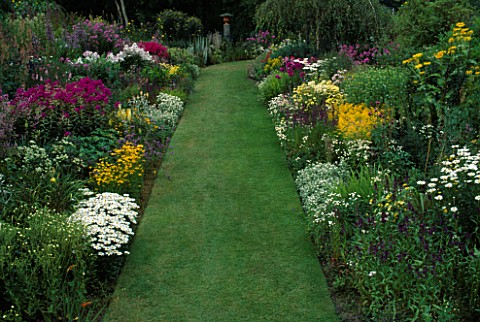 GRASS_PATH_BETWEEN_DOUBLE_HERBACEOUS_SUMMER_BORDERS_WITH_ANAPHALIS__SOLIDAGO_AND_ANTHEMIS_BUTTERSTRE