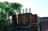 STEPHEN WOODHAMS ROOF GARDEN  LONDON: WHITE WISTERIA AND CHIMNEY POTS