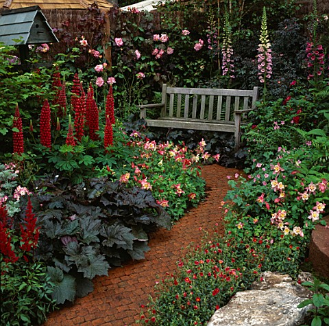 BRICK_PATH_LEADS_THROUGH_RED_THEMED_COTTAGE_BORDERS_OF_LUPINS__AQUILEGIAS_TO_SECLUDED_WOODEN_BENCH_D